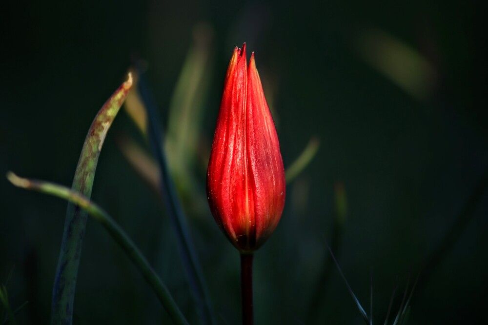 Photograph by volkan akan