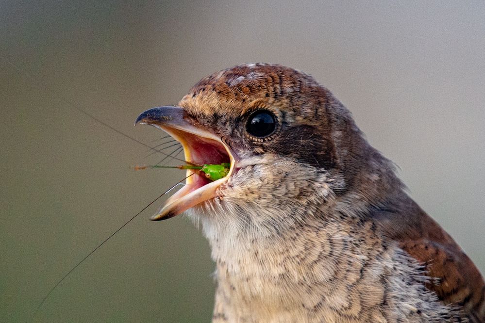 Photograph by Чаусова Елена