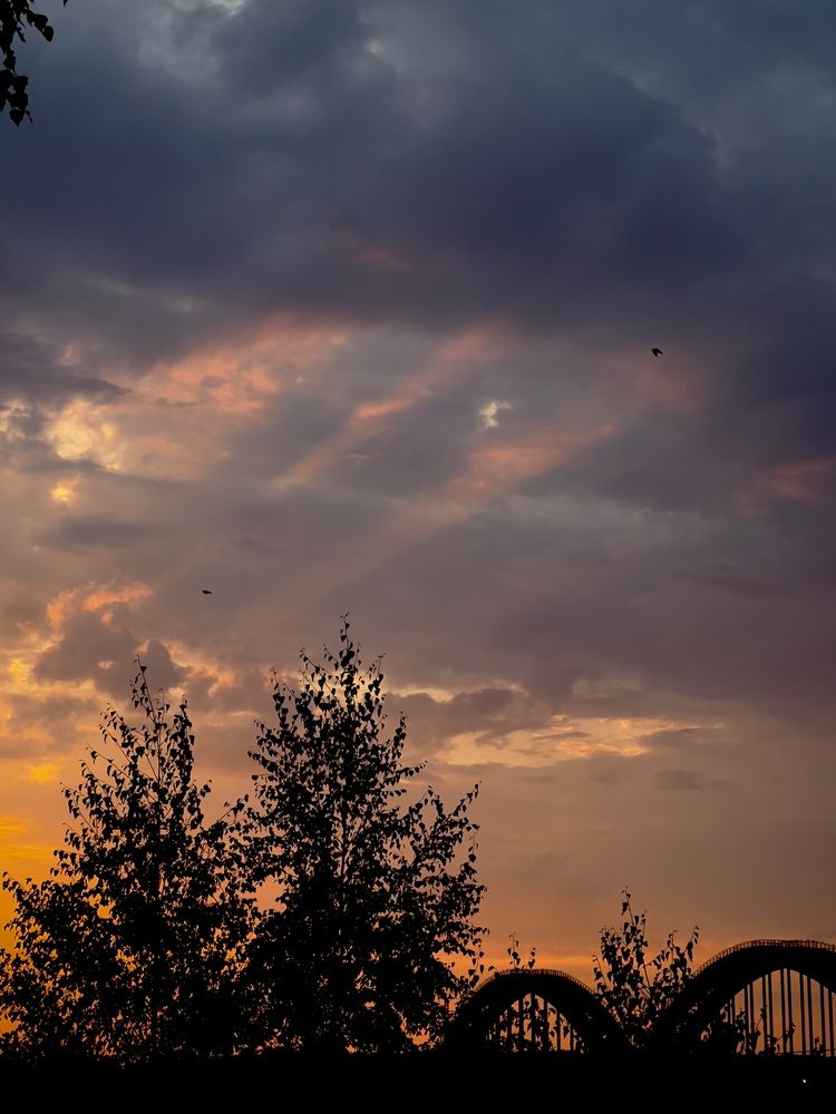 Photograph by Виктория Казакова