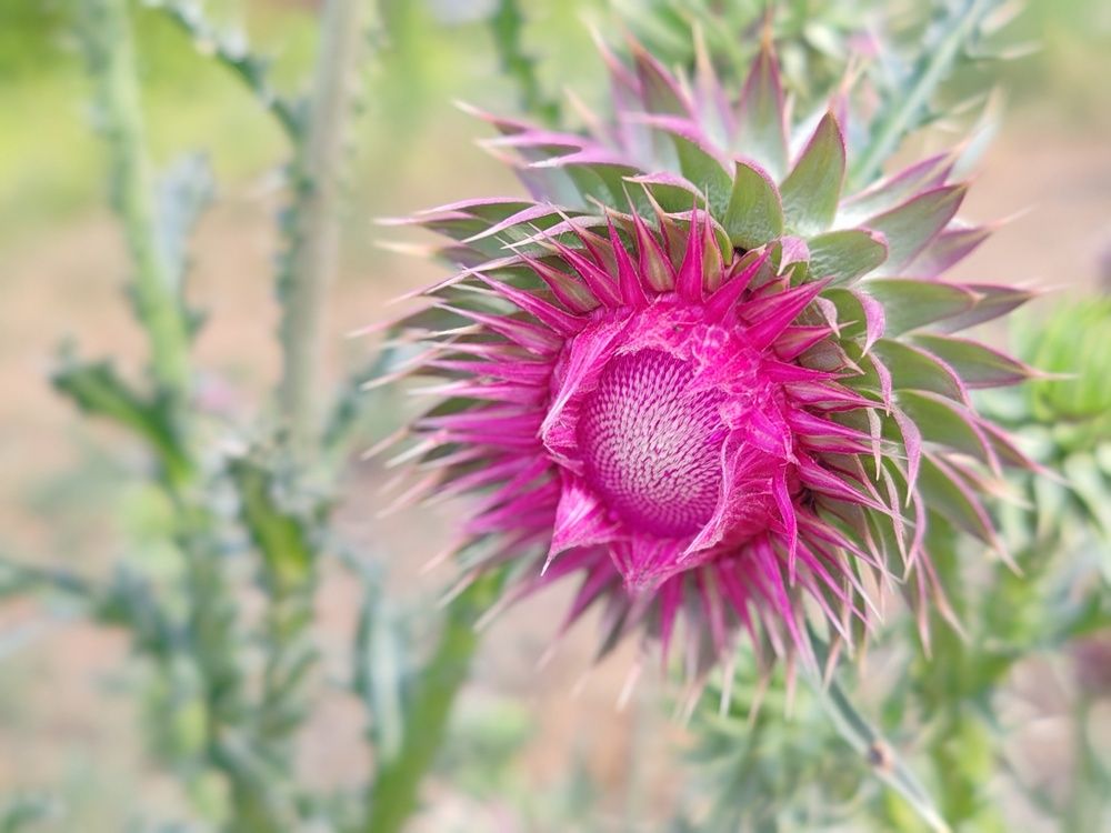 Photograph by Алёна Гильмуллина