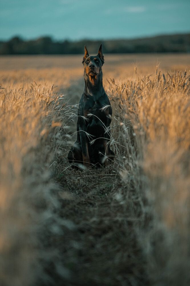 Photograph by Марина Гурина