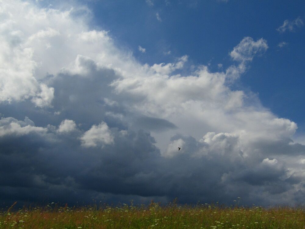 Photograph by Татьяна Смирнова