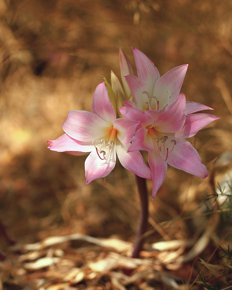 Photograph by Alexandra Sergeeva