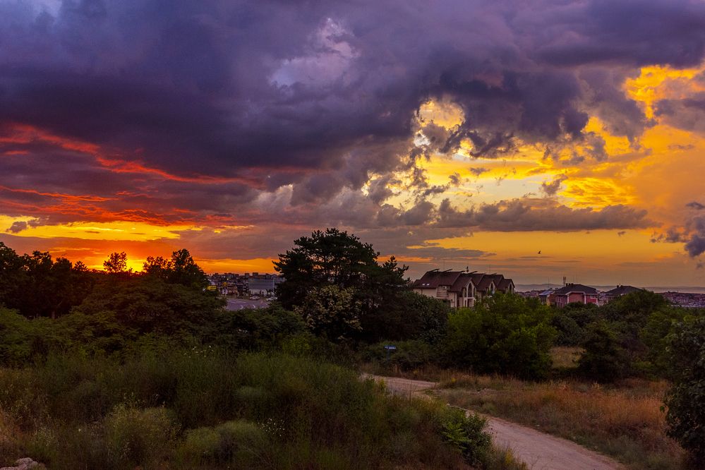 Photograph by Nikolai Barchan