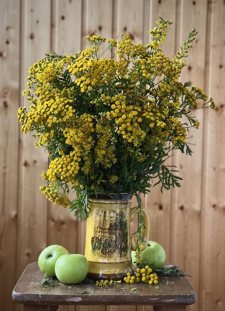 Photograph by Татьяна Зуйкова