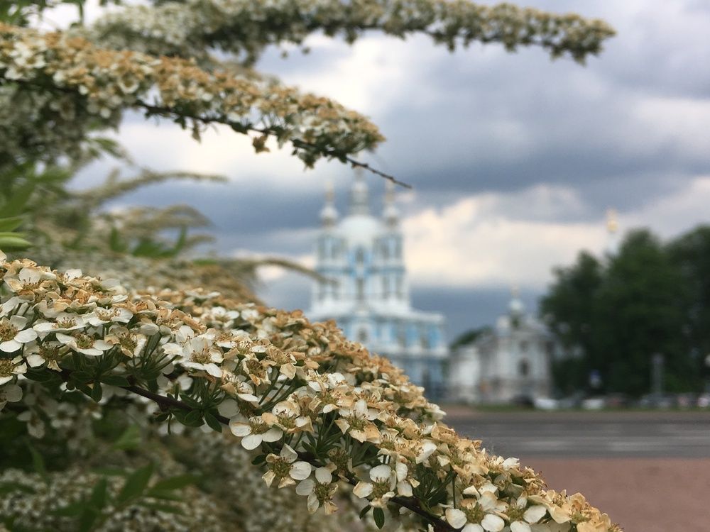 Photograph by Anastassia