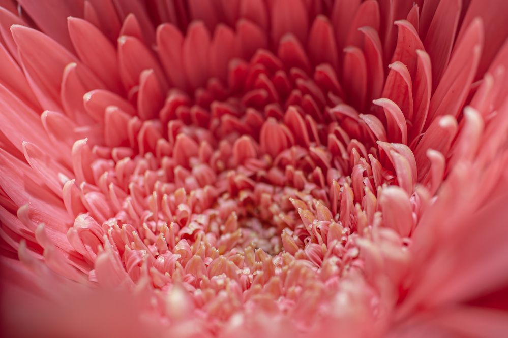 Hidden Secrets in Closeness