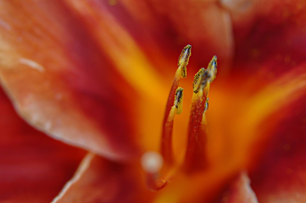 Hidden Secrets in Closeness 