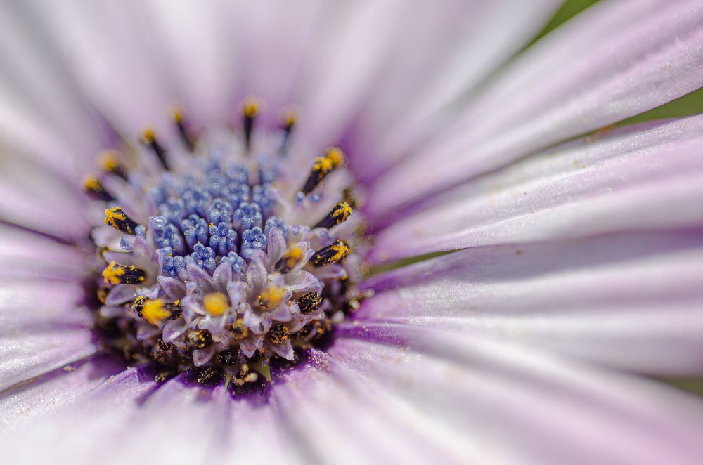 Hidden Secrets in Closeness 