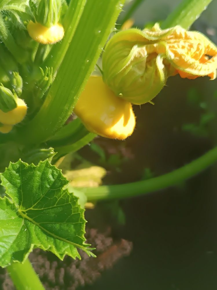 Photograph by Nikita Zorin