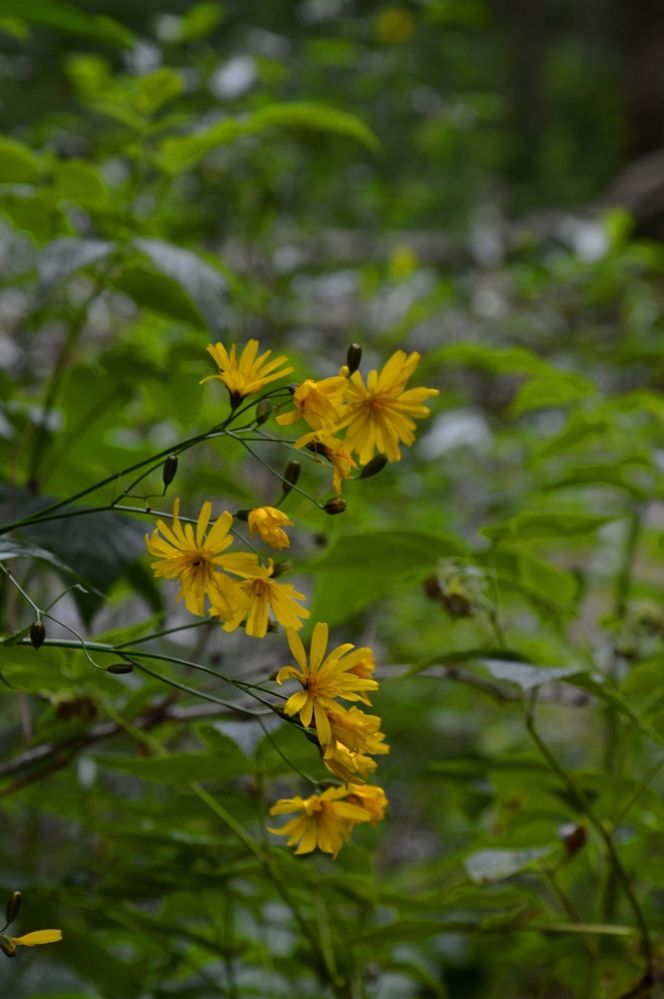 Photograph by Ольга Шевцова