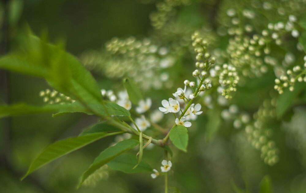 Photograph by Kirill Yakowlew