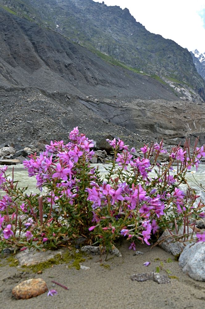 Photograph by Ольга Шевцова