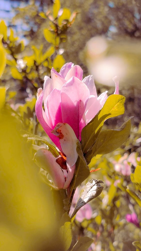 Photograph by Наталия Короленко