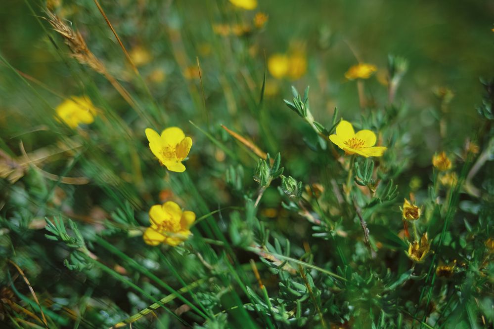 Photograph by Татьяна Михеева