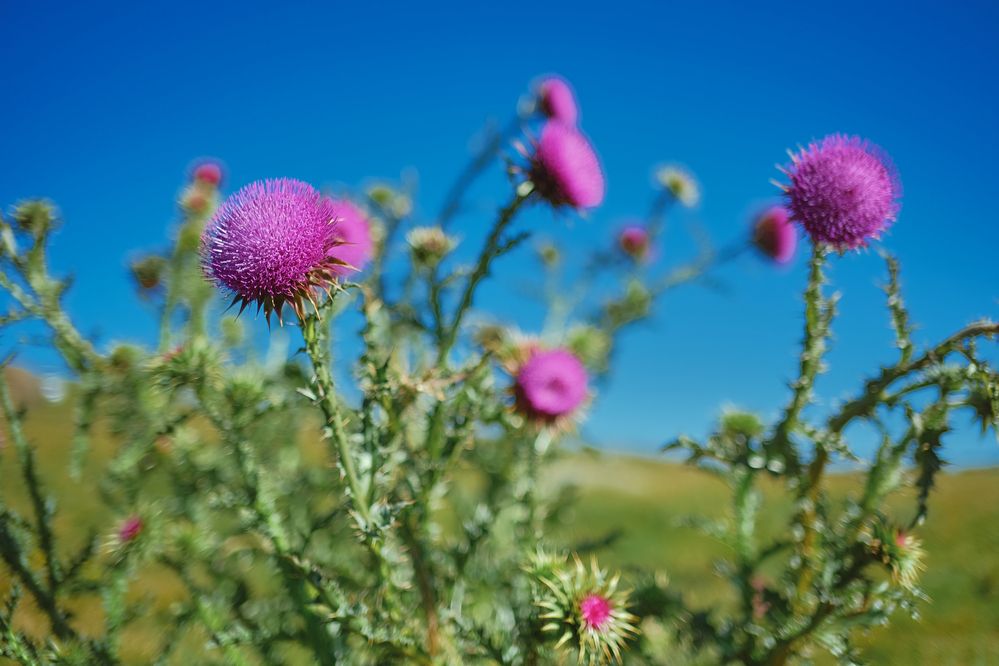 Photograph by Татьяна Михеева