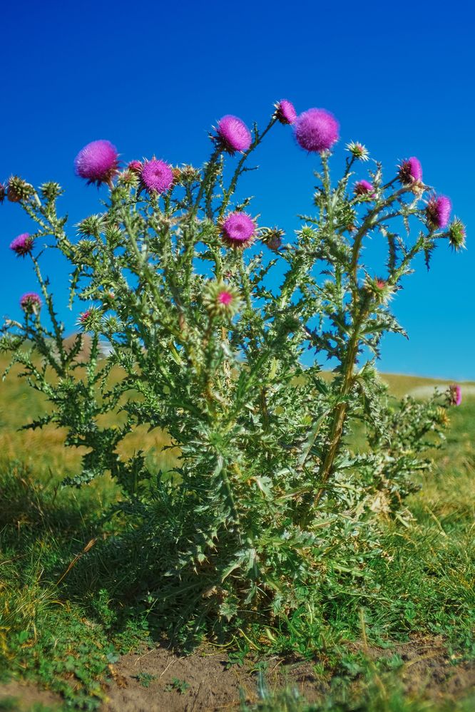 Photograph by Татьяна Михеева