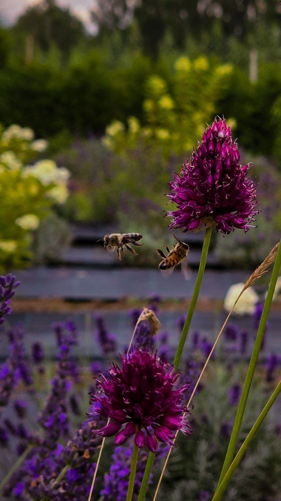 Photograph by Наталия Короленко