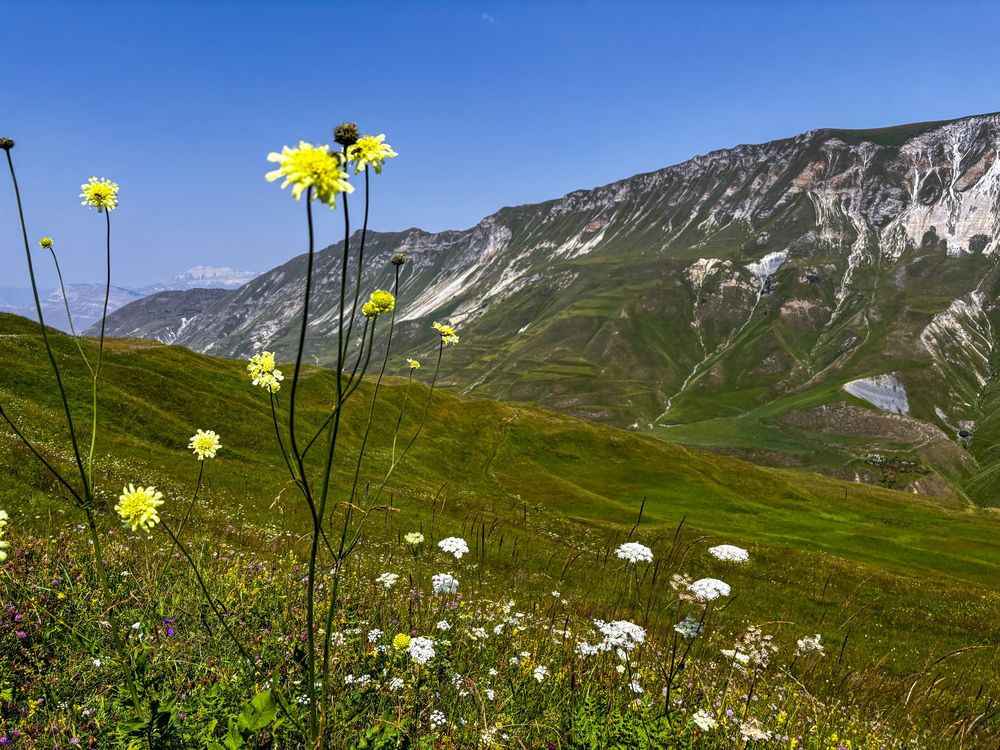 Фотография автора Valeriya
