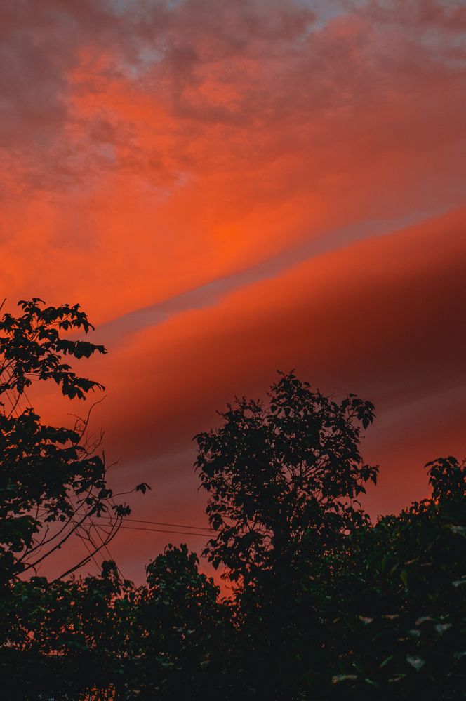 Фотография автора Рыбчинский Антон