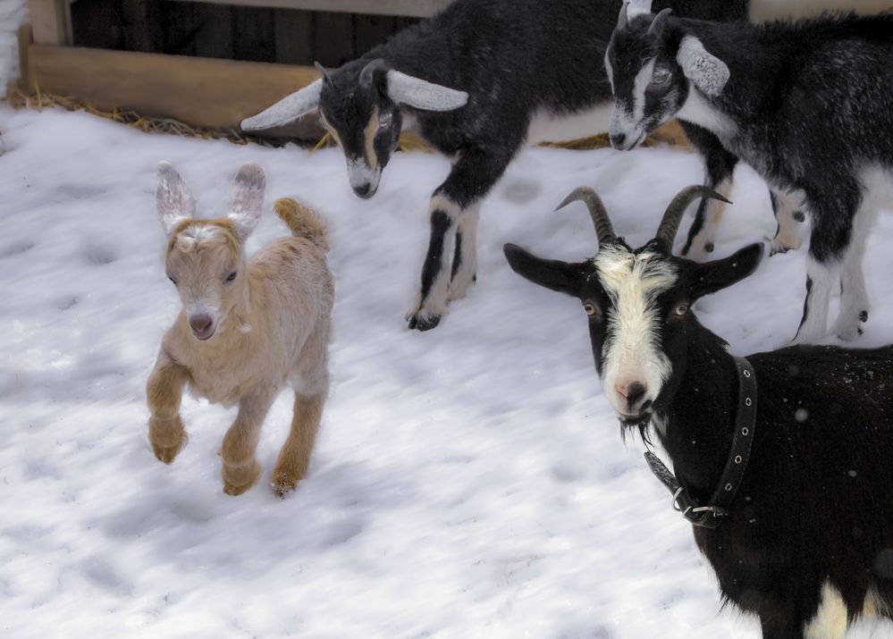 Фотография автора Валентин Черновол