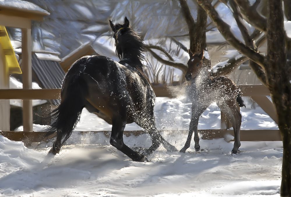 Фотография автора Валентин Черновол