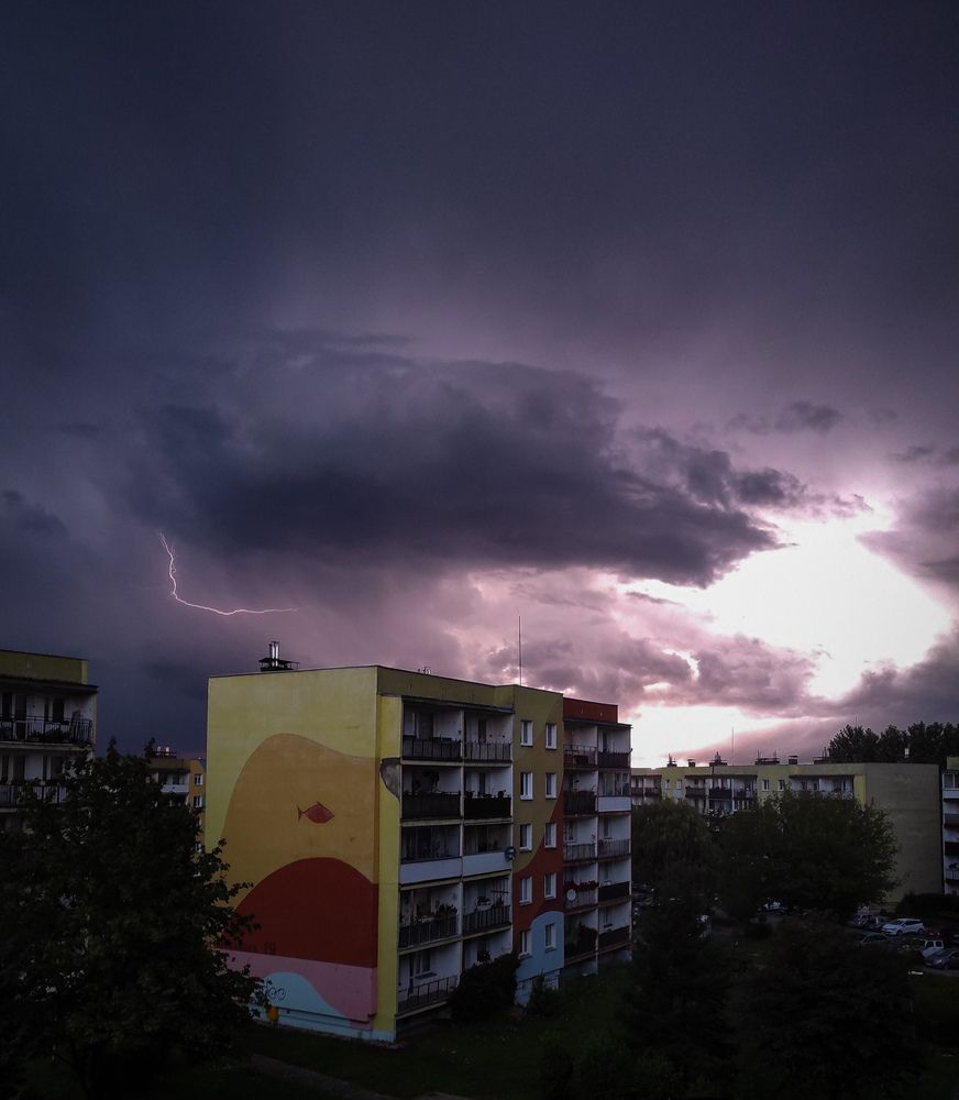 Photograph by Дарья