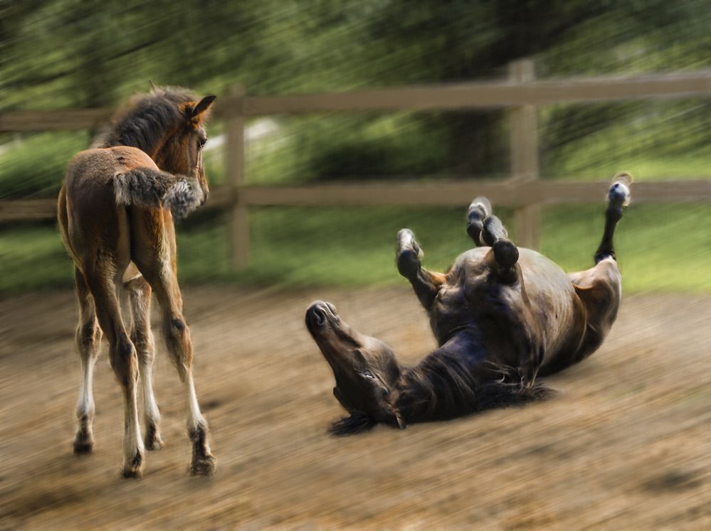 Фотография автора Валентин Черновол
