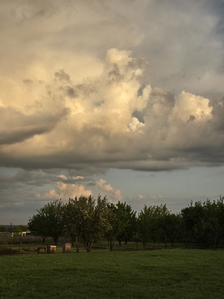 Photograph by Севиля Вейсалова