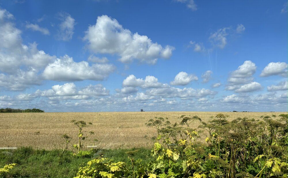 Photograph by Татьяна Смирнова