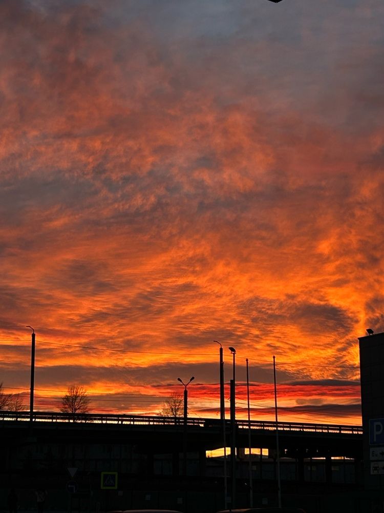 Фотография автора Надежда Уфимцева