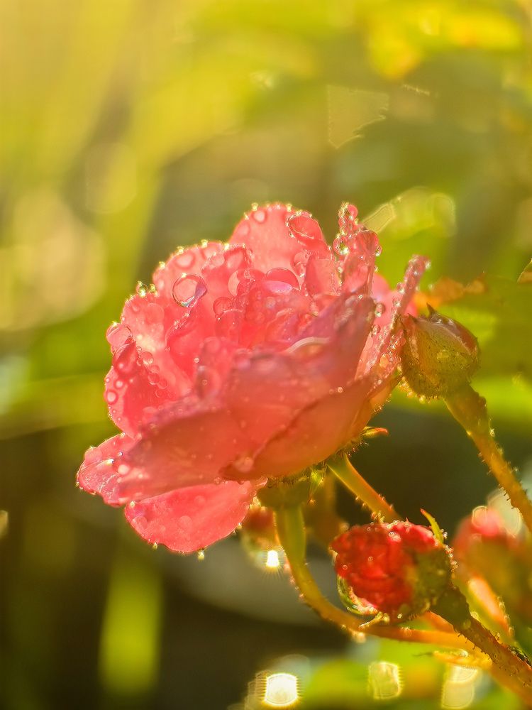 Photograph by Татьяна Емельянова