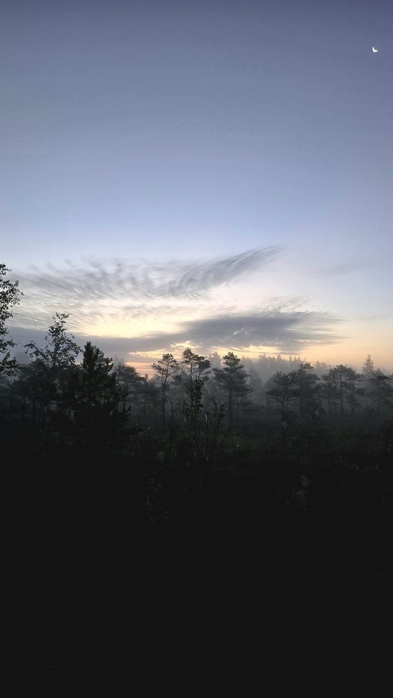 Photograph by Наталия Короленко