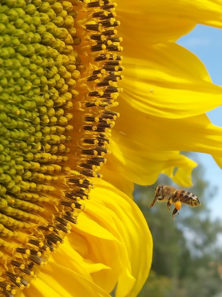 Photograph by Юлия Фирман