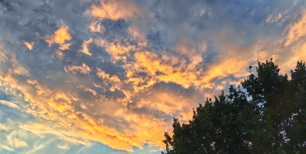 Photograph by Сергей Зайцев