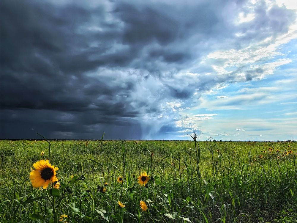 Photograph by Сергей Зайцев