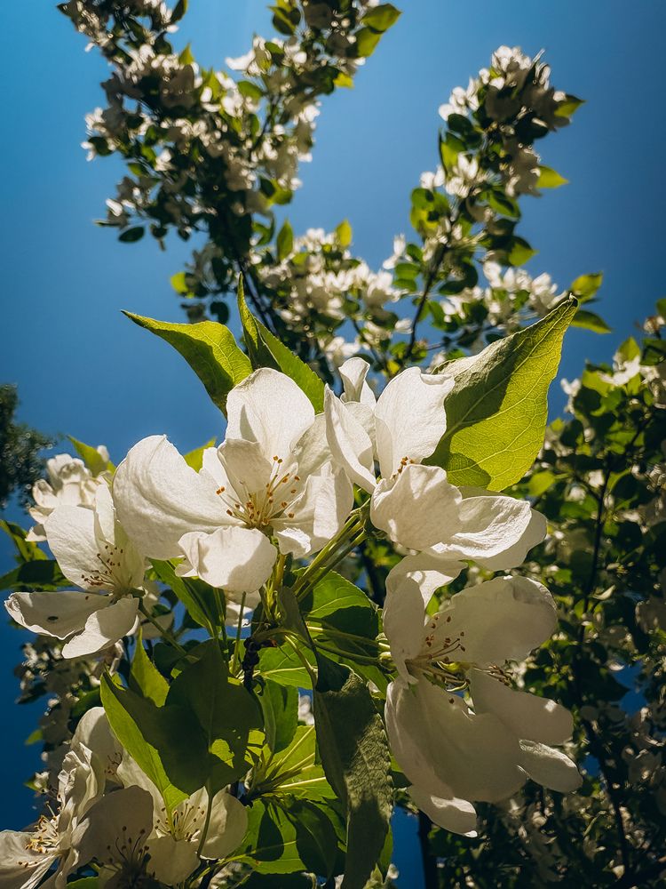 Photograph by Марина Харитонова