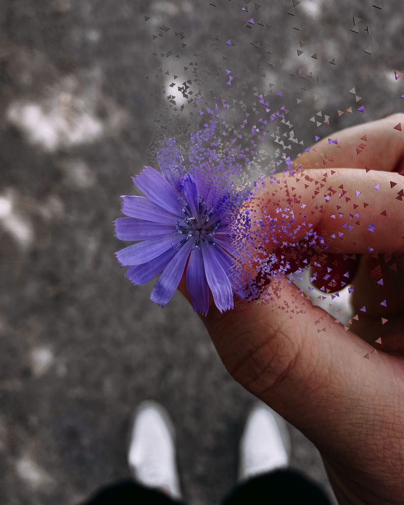 Photograph by Сергей Удовиченко