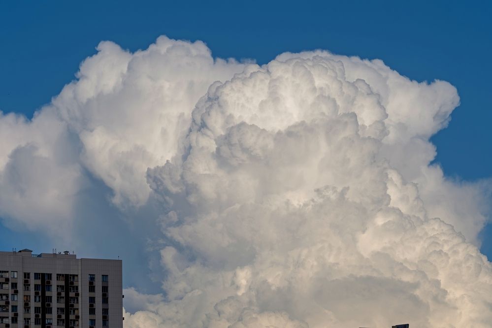 Photograph by Михаил Косолапов