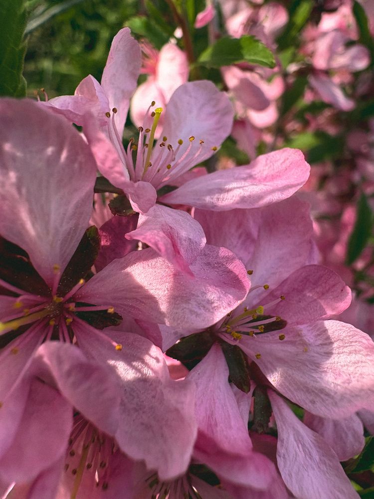 Photograph by Марина Харитонова