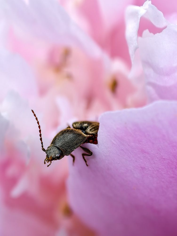 Photograph by Konstantin Martynov