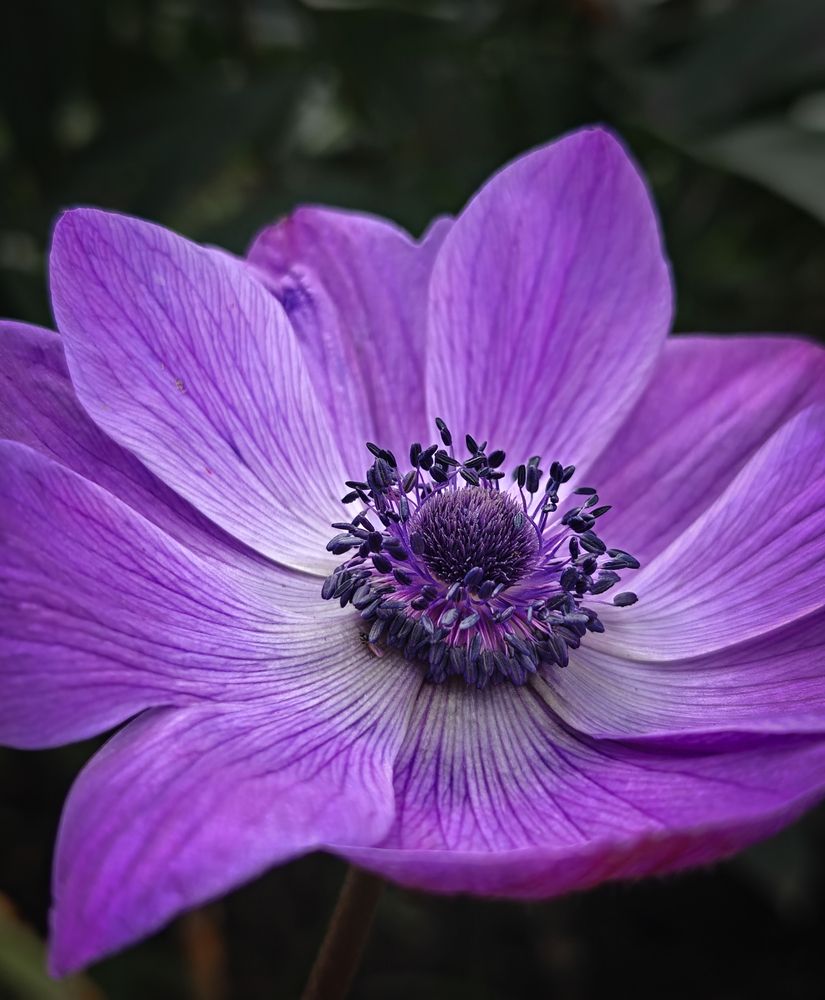 Photograph by Юлия Яремко