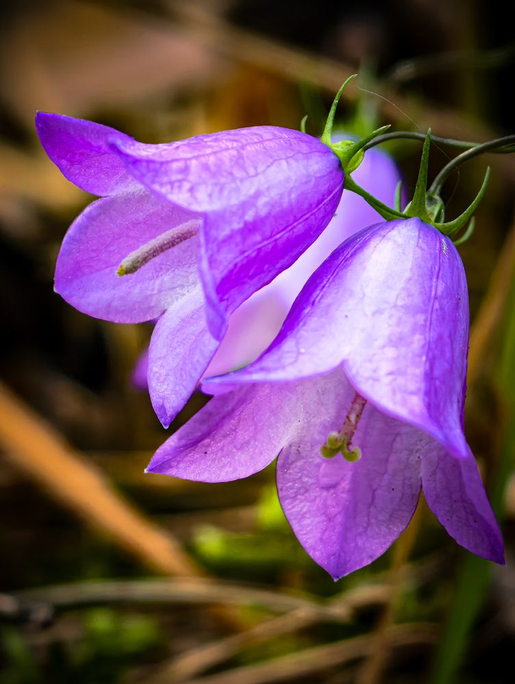 Photograph by Konstantin Martynov