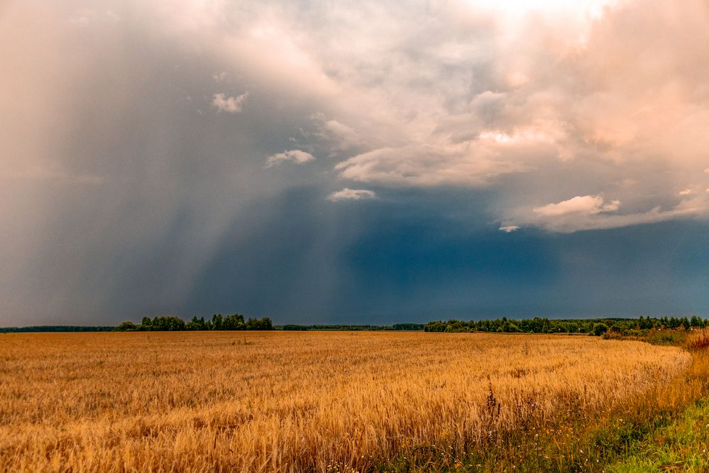 Photograph by Елена Ефимова