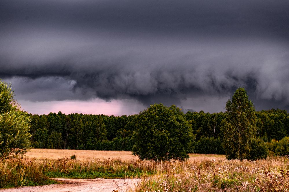 Photograph by Елена Ефимова