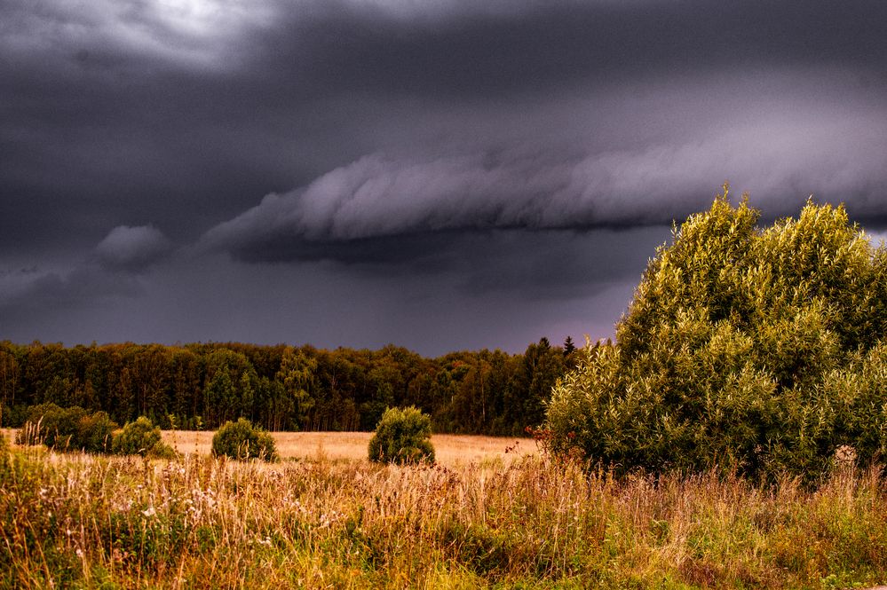 Photograph by Елена Ефимова