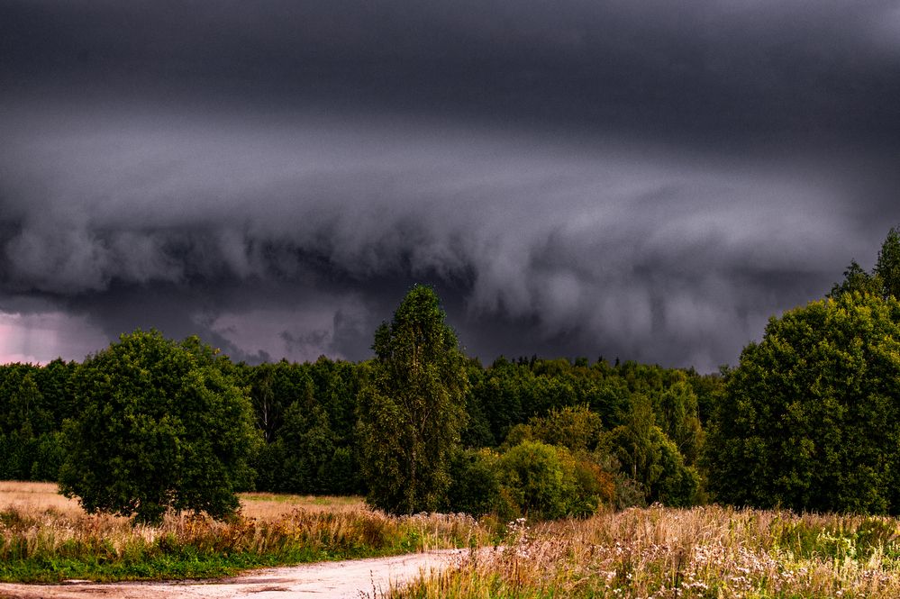 Photograph by Елена Ефимова