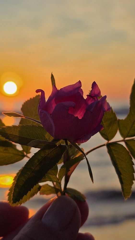 Photograph by Наталия Короленко