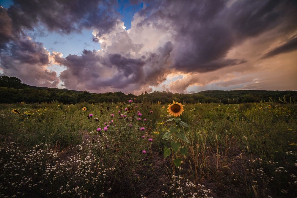 Photograph by Филипп Бабенко