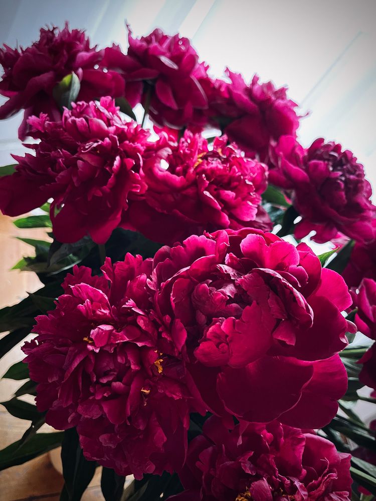 Фотография автора Елизавета Стороженко